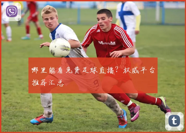 哪里能看免费足球直播?权威平台推荐汇总