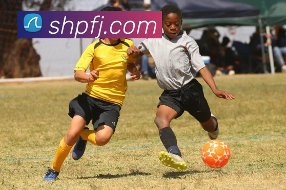 爱体育电竞官网发展历程