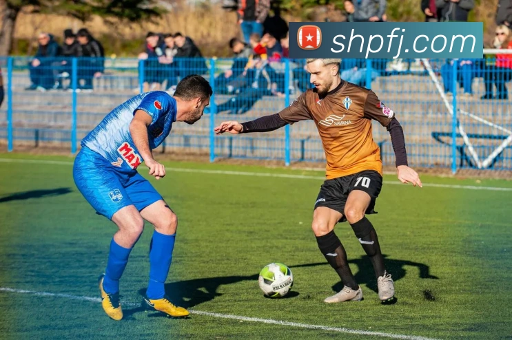 四年一度冰雪盛会:深入解读冬奥会周期的战略规划与挑战